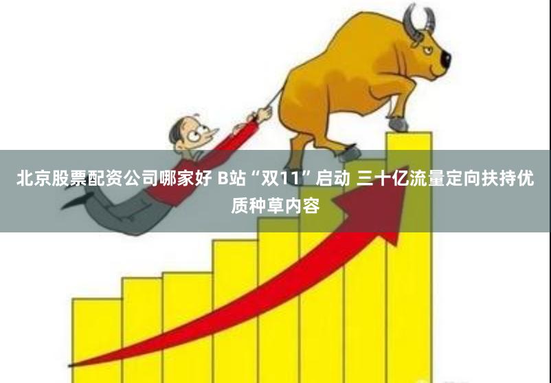 北京股票配资公司哪家好 B站“双11”启动 三十亿流量定向扶持优质种草内容